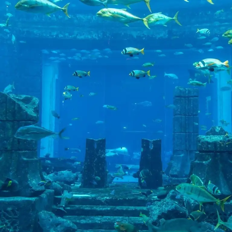 3 Day Hop On Hop Off Ticket with Aquaventure Super Pass and Dhow Cruise