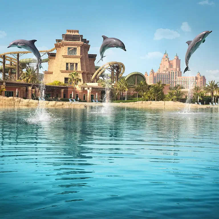 Dolphin Bay Experiences at Atlantis The Palm