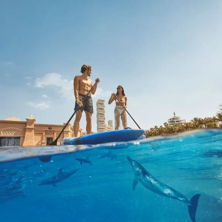 Dolphin Bay Experiences at Atlantis The Palm