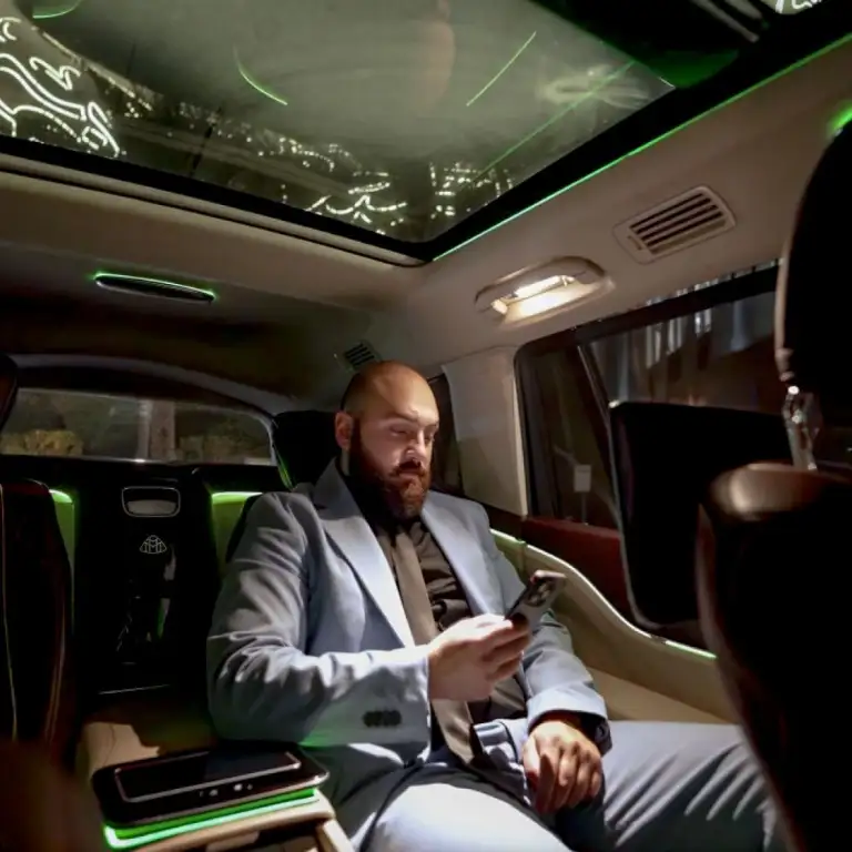 Ultra - Luxury City Tour with Private Chauffeur