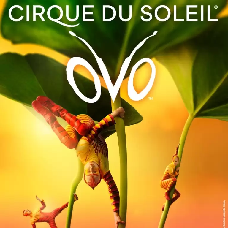 Cirque du Soleil: OVO Tickets