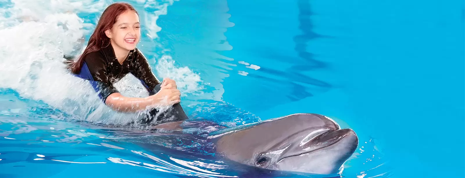 Swimming With Dolphins - Dubai Dolphinarium