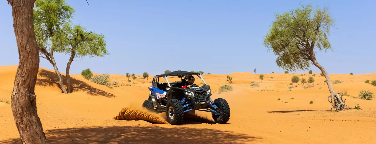 Big Red Adventure Tours: Dune Buggy in Dubai