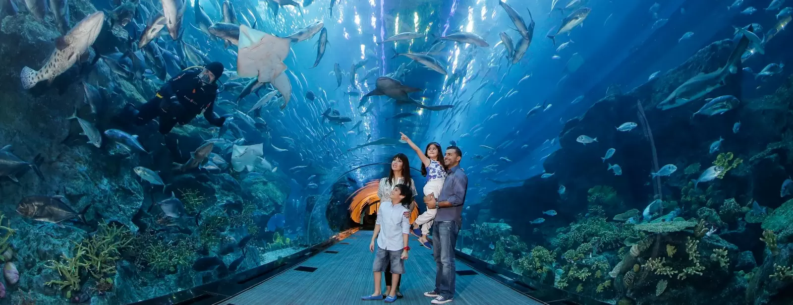 Dubai Aquarium & Underwater Zoo - Explorer Experience