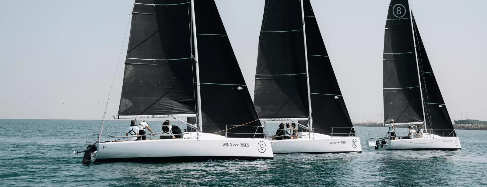 Wind Rises Sailing Rides & Races