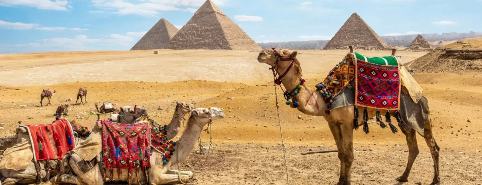 Cairo: Fun around the Giza Pyramids & Khan El Khalili Old Market