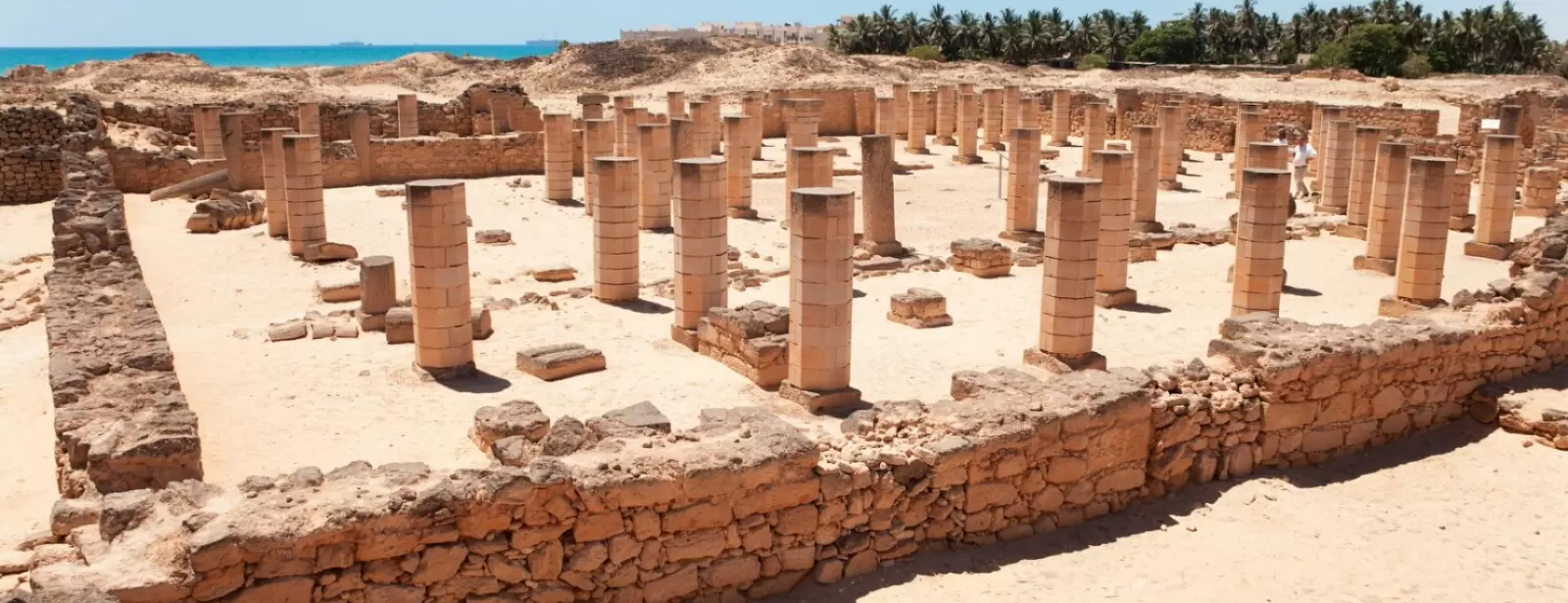 Salalah : Private Half Day Sightseeing Tour