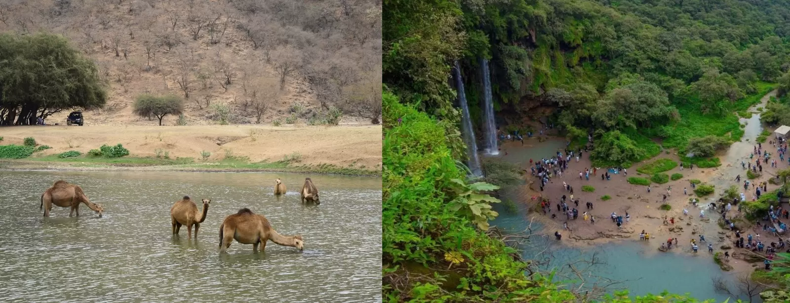 Salalah: Private Full day East and West of Dhofar