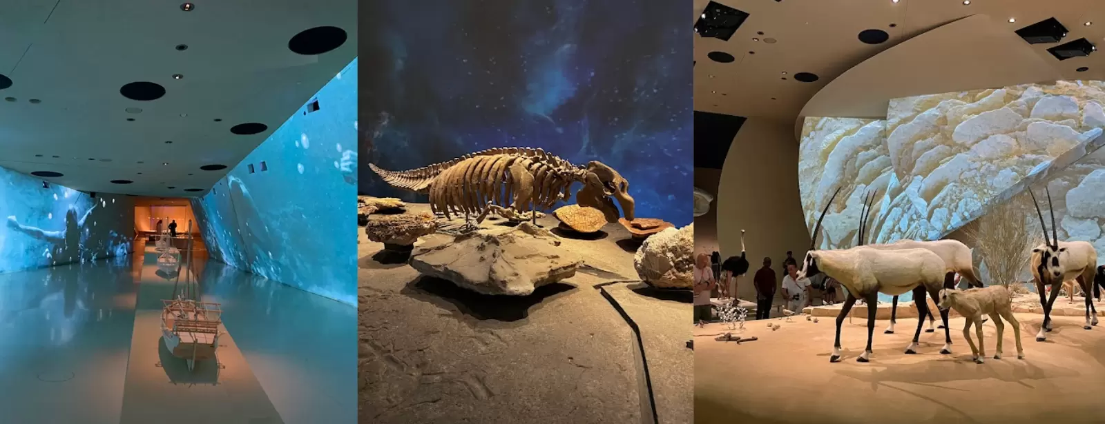 Doha Museums Tour