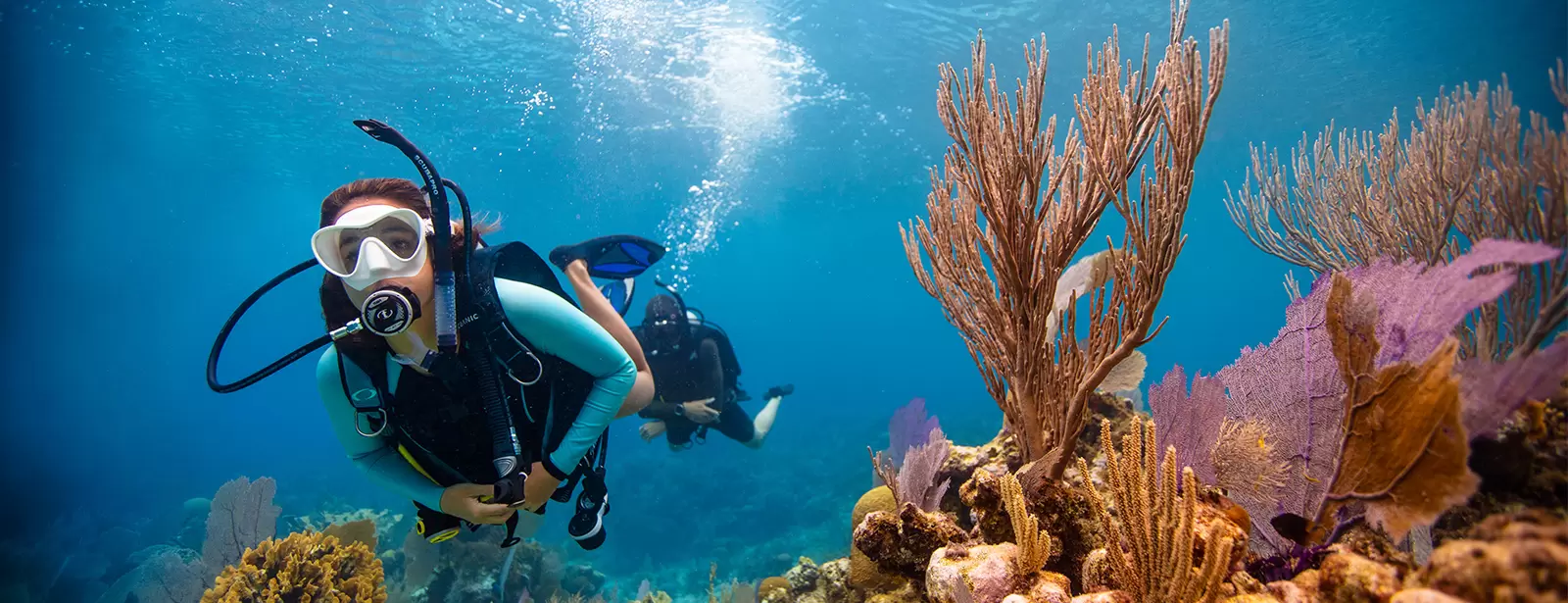 Dive & Snorkel Trips in Fujairah