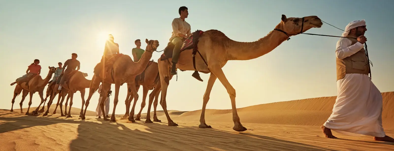 Camel Trekking Experience In Abu Dhabi With Transfers In Land Cruiser