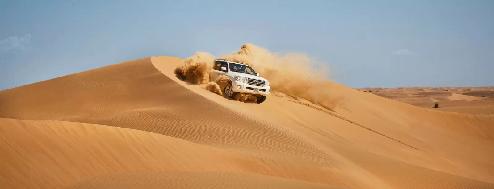 Liwa Adventure: A Desert Safari Delight with Authentic Local Lunch