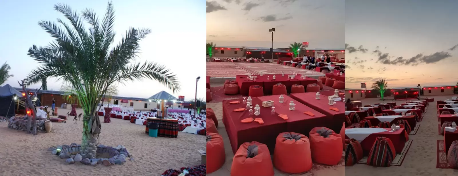 Dubai Sunset Safari Delight with BBQ dinner and camel ride