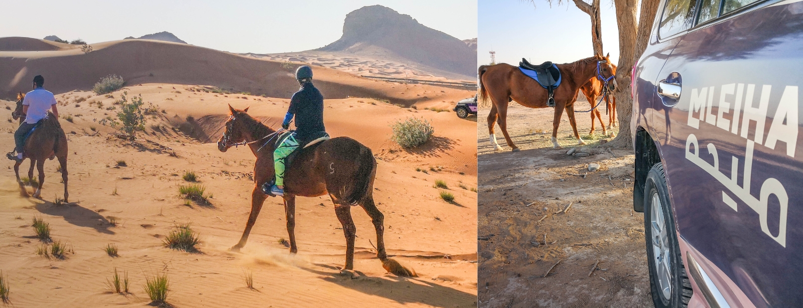 Horse Back Riding Desert Hack