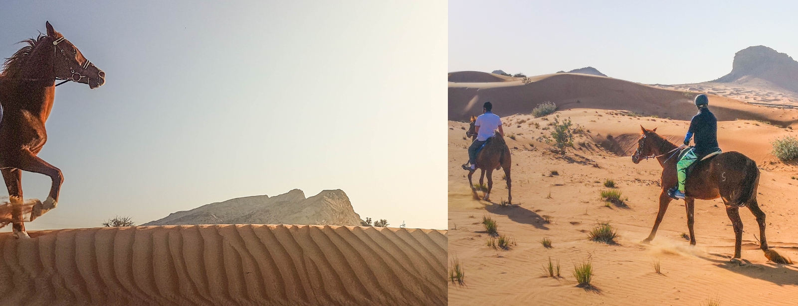 Horse Back Riding Desert Hack