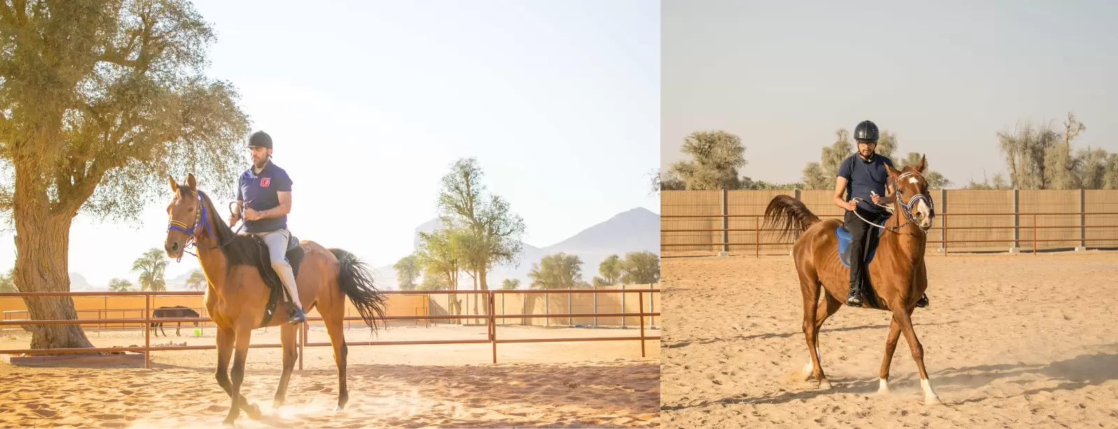 Horse Riding At Mleiha Arena