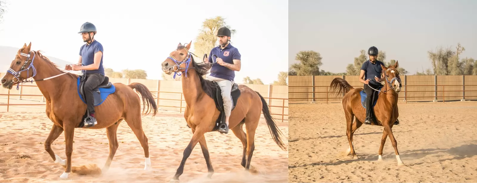 Horse Riding At Mleiha Arena