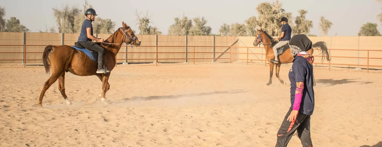 Horse Riding Training Course One Session