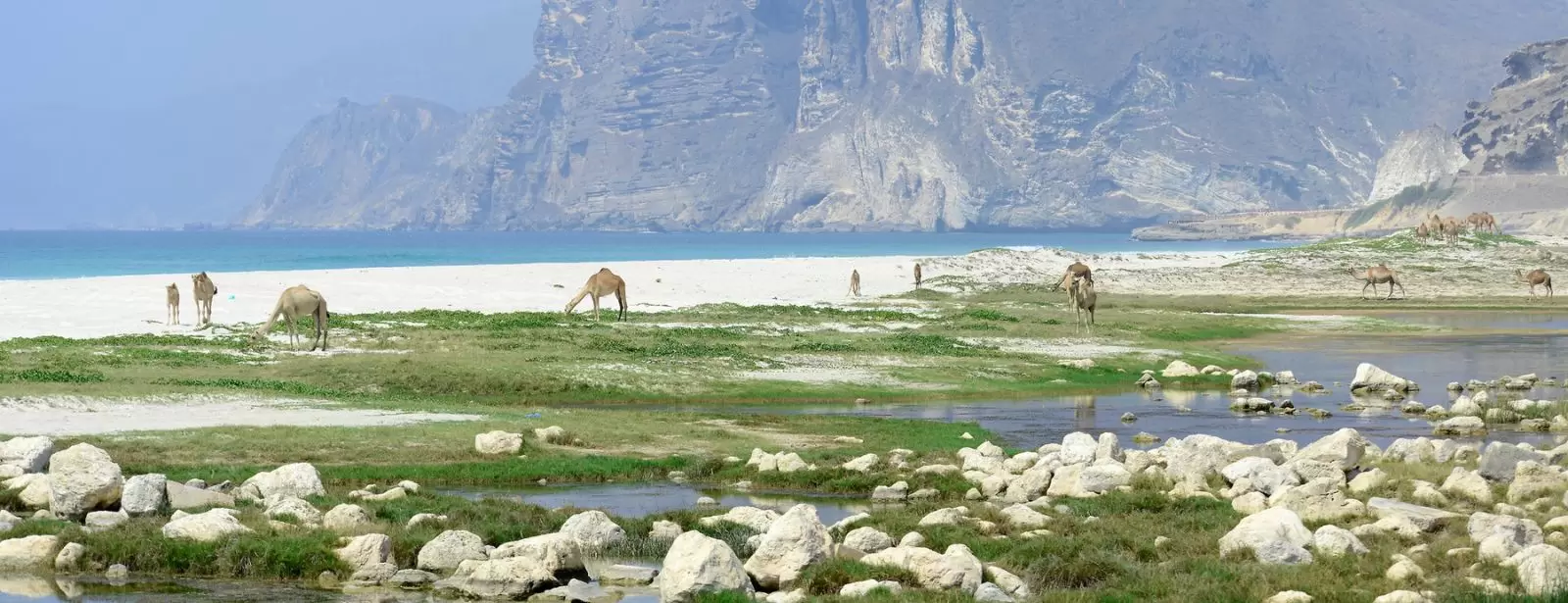 Salalah: Full-Day Beach Escapade Al Mughsail Beach & Fazayah Beach