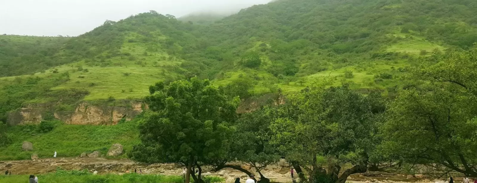 Salalah: Private Full-Day Jebel Safari Tour East