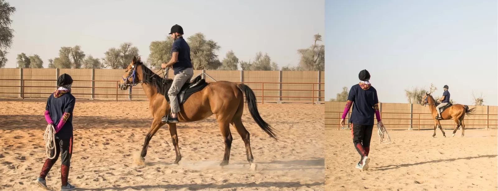 Horse Riding Training Course One Session