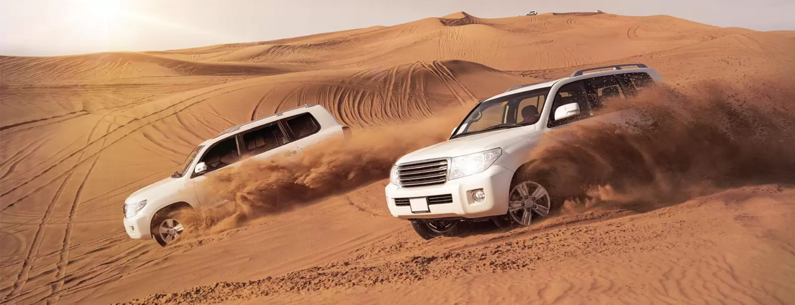 Combo: Morning Desert Safari with Dune Bashing + Marina Sunset Yacht Tour with BBQ