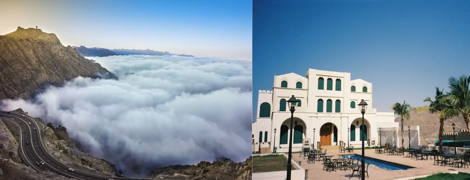 Full Day Taif Tour With Lunch from Jeddah