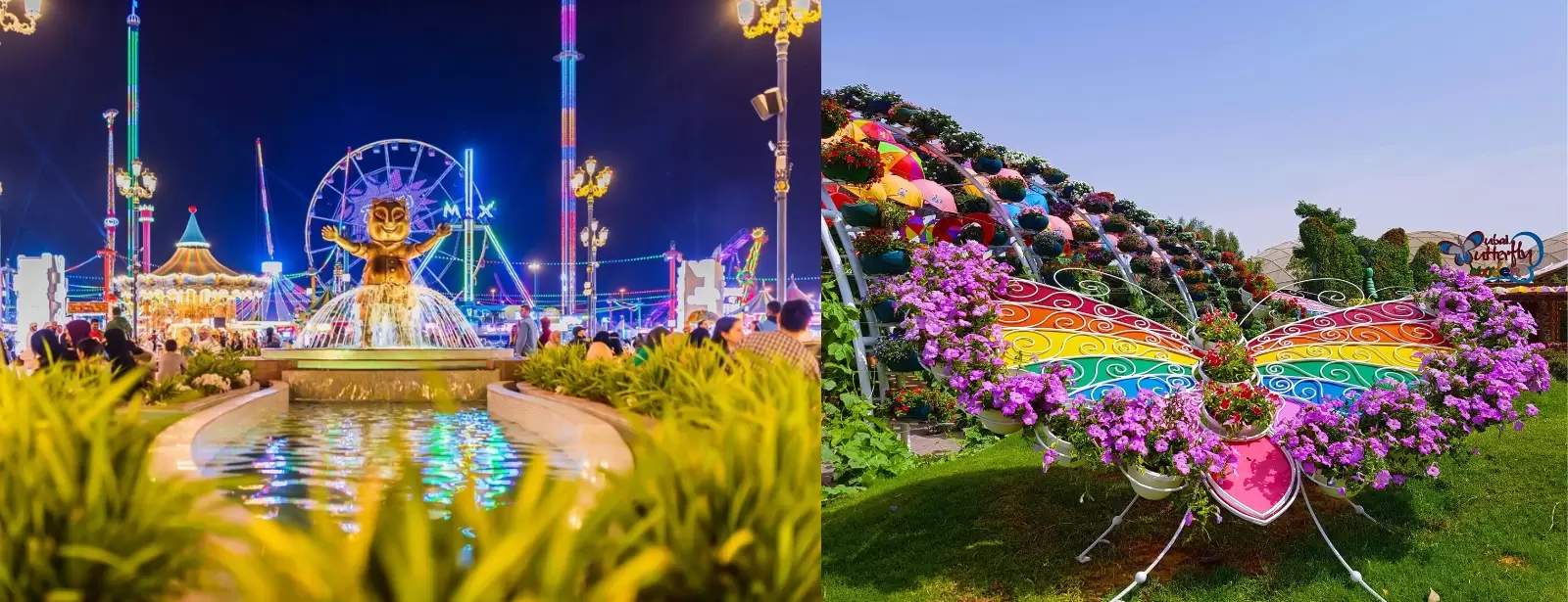 Combo: Global Village + Butterfly Garden