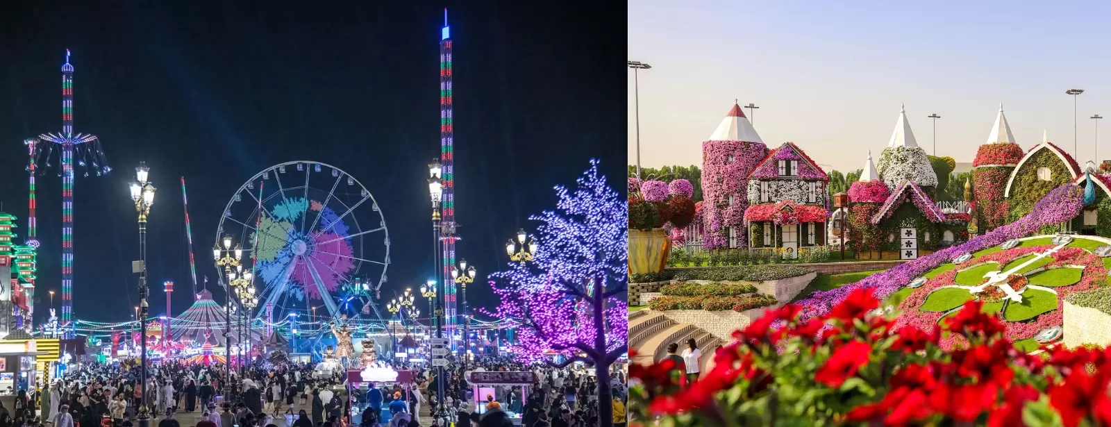 Combo: Global Village + Miracle Garden