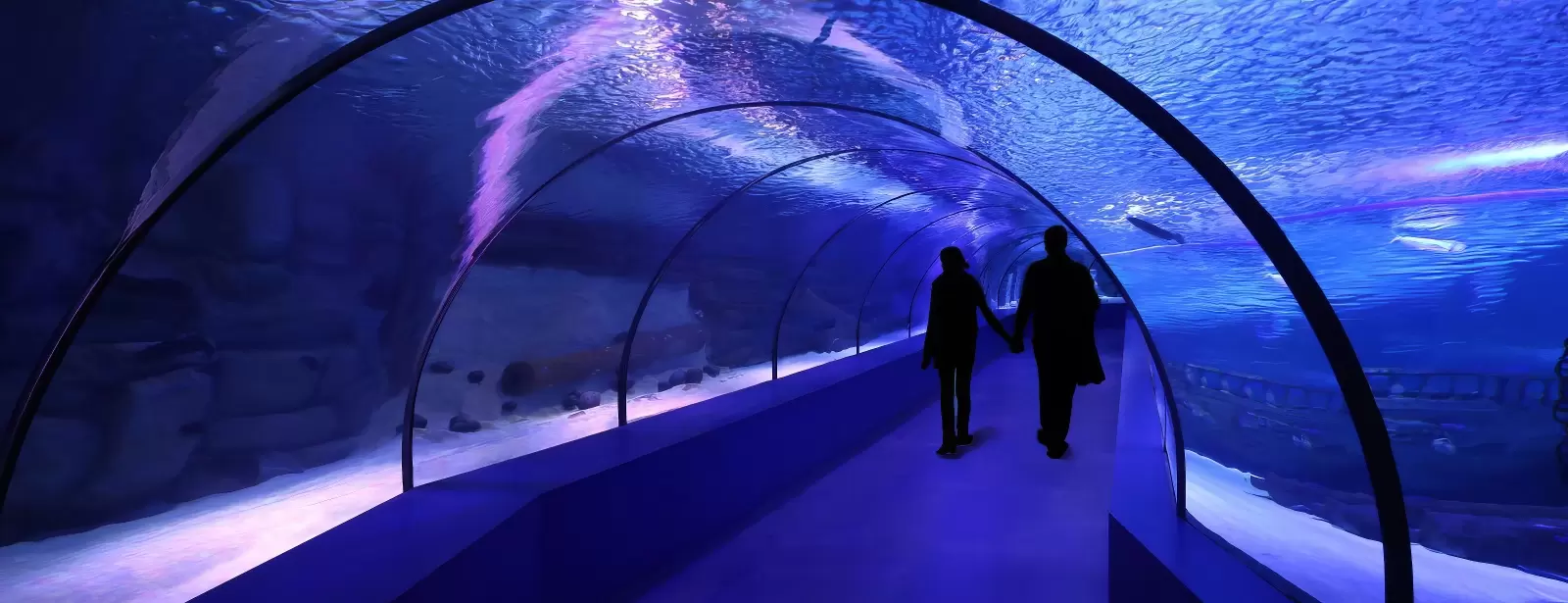SEA LIFE London Aquarium - Same day Ticket