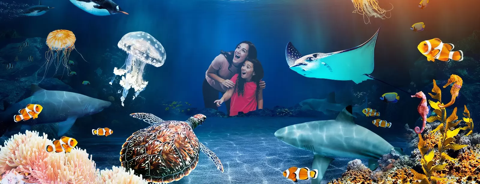SEA LIFE London Aquarium - Same day Ticket