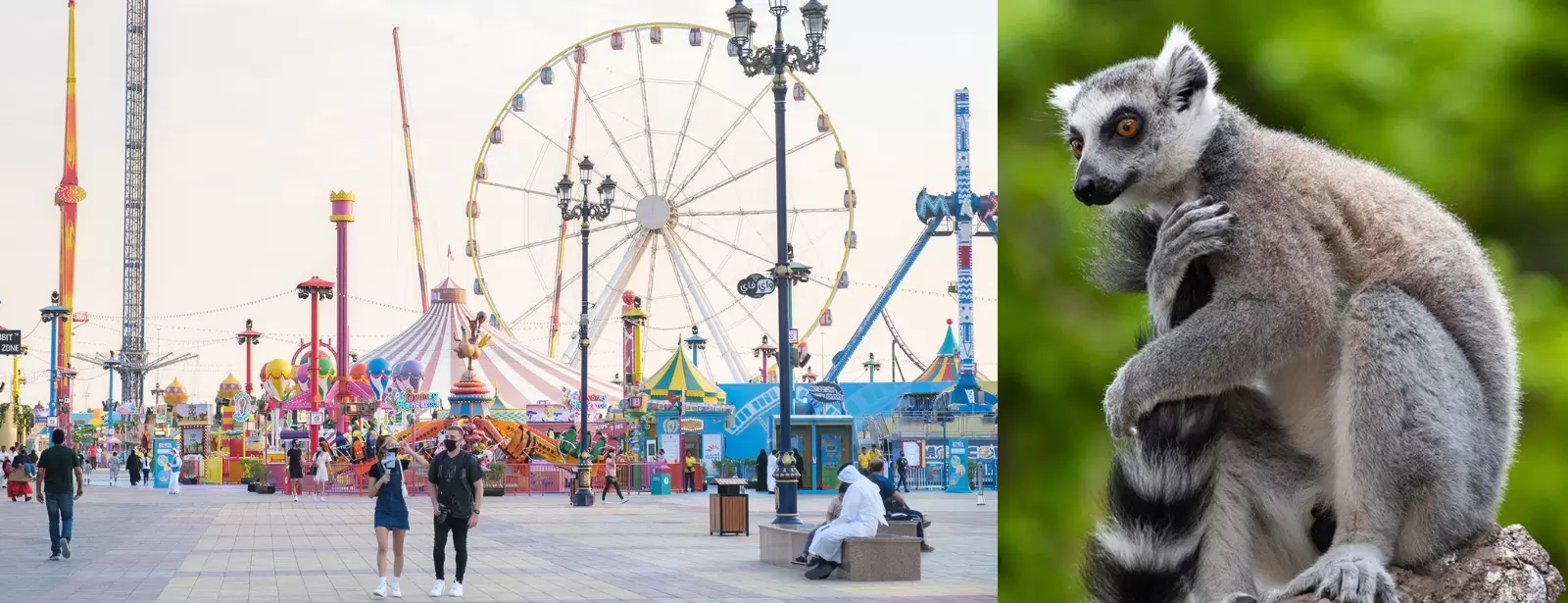 Combo: Global Village + The Green Planet Dubai