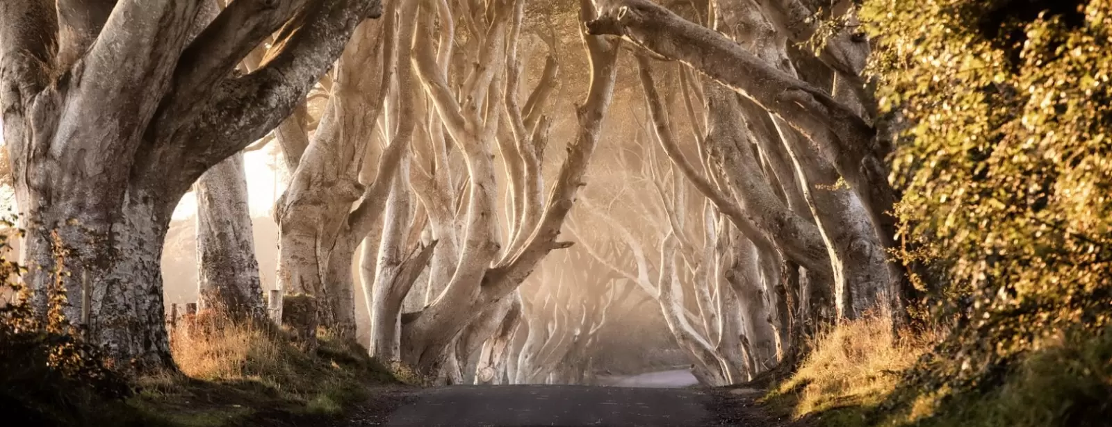 From Belfast Giant’s Causeway and Game of Thrones Day Tour