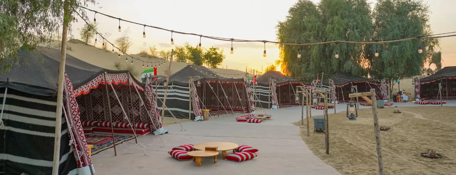 Evening Luxury Heritage Safari at Al Marmoom Bedouin Experience