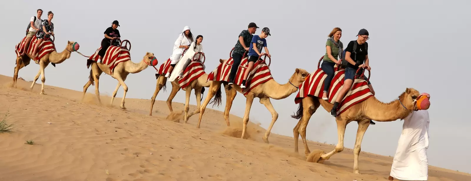 Premium Red Dunes Safari with Camel Ride & 3 Cuisines at Al Khayma Camp