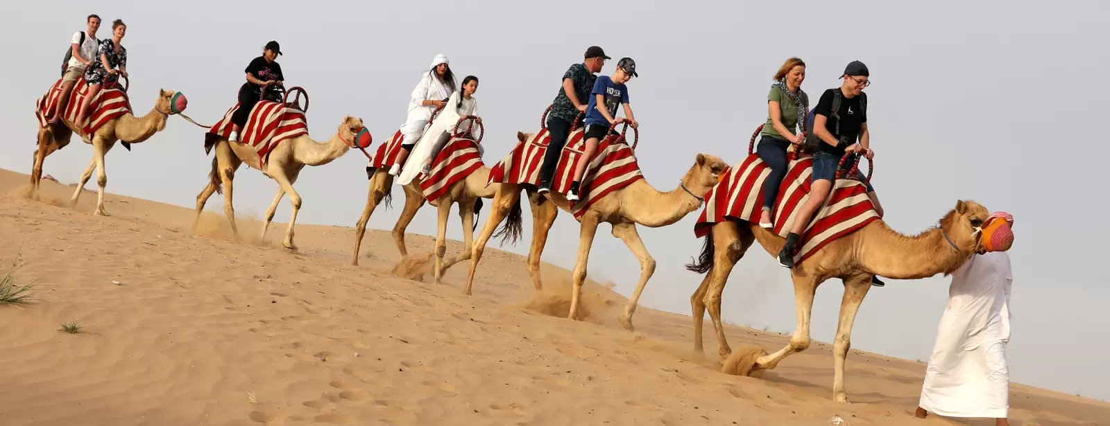 Overnight Red Dune Desert Safari with Dune Bashing, BBQ Dinner & Breakfast
