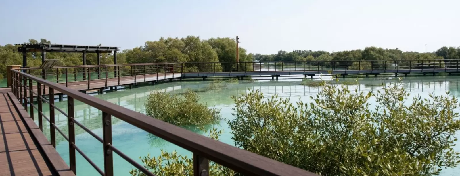 Jubail Mangrove Park - Boardwalk Experience