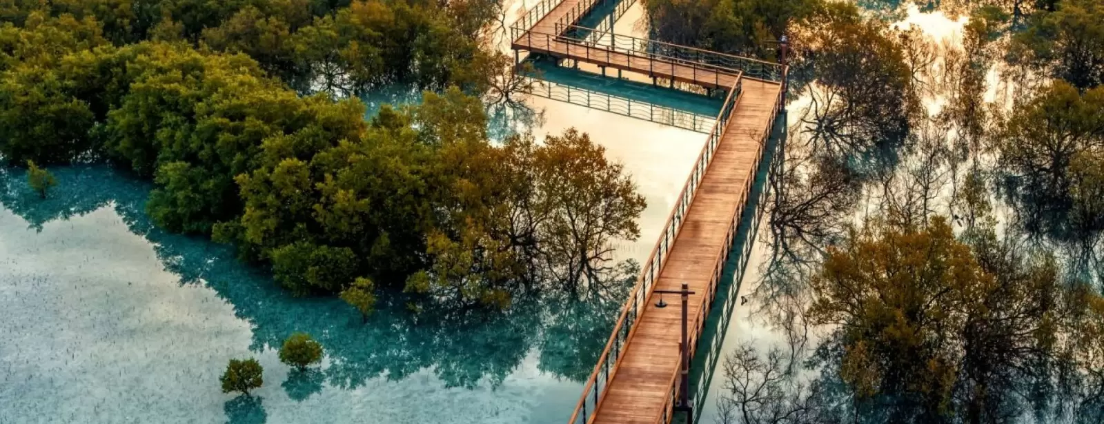 Jubail Mangrove Park - Boardwalk Experience