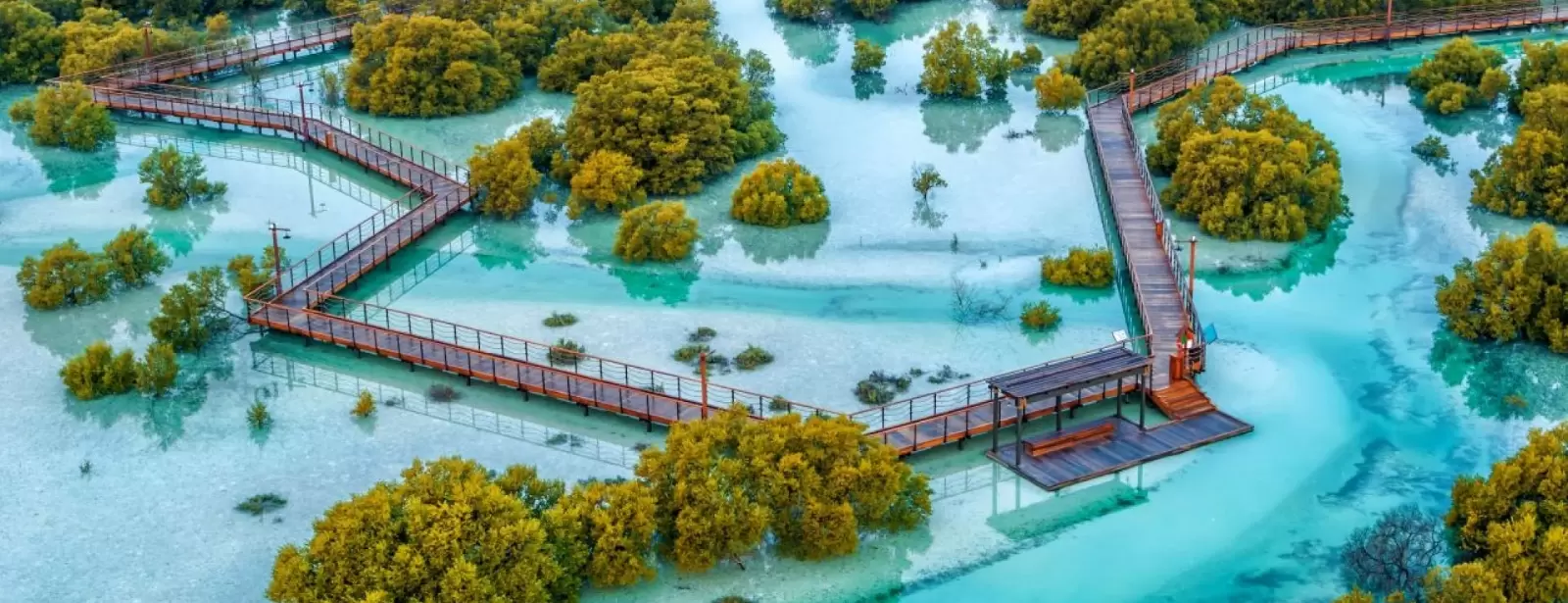 Jubail Mangrove Park - Boardwalk Experience