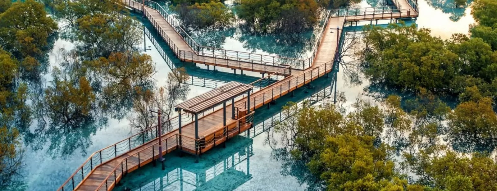 Jubail Mangrove Park - Boardwalk Experience