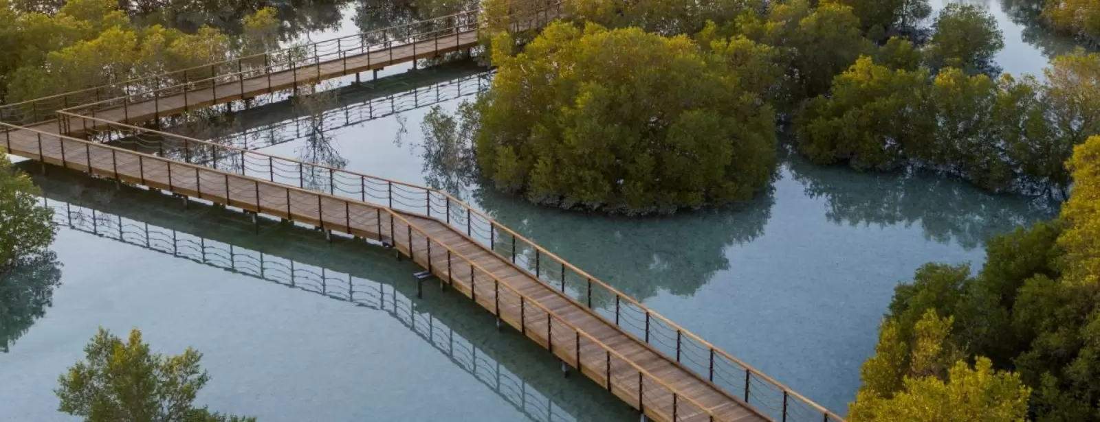 Jubail Mangrove Park - Boardwalk Experience