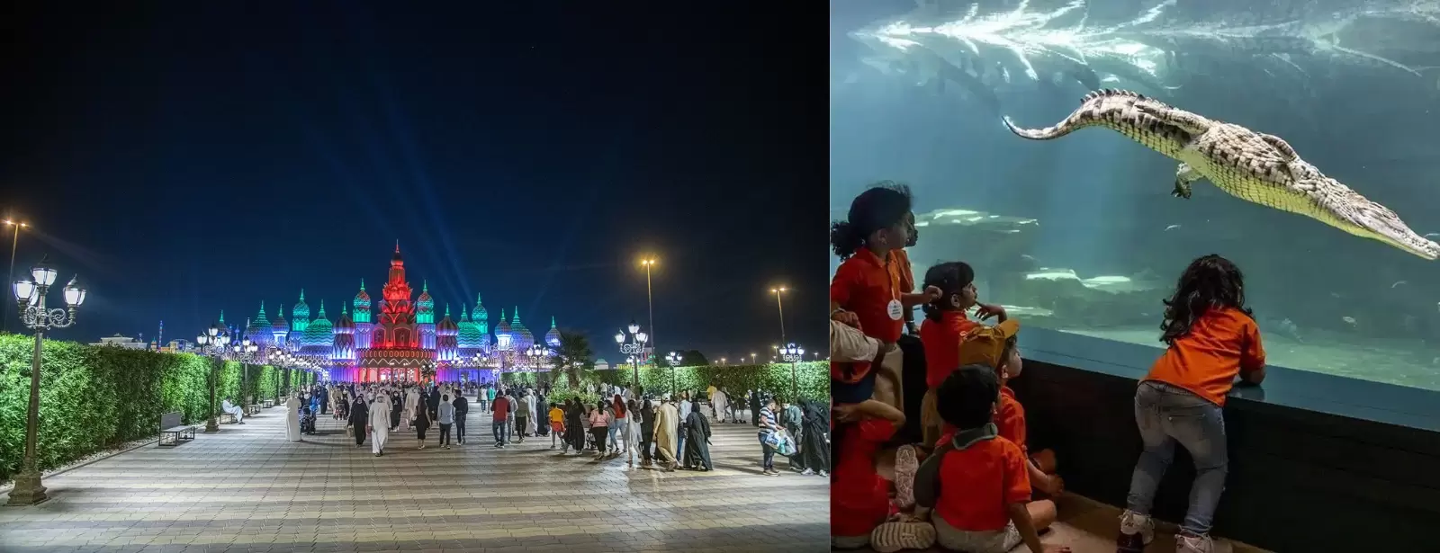 Combo: Global Village + Dubai Crocodile Park