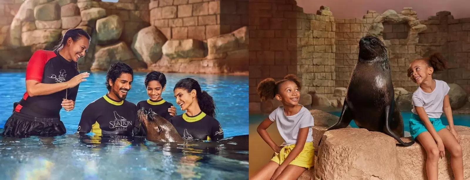 Sea Lion Experiences at Atlantis The Palm