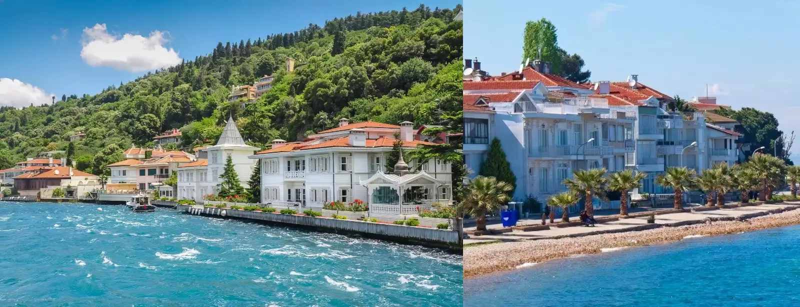 Princes' Islands Tour (2 Islands) Guide,Ticket & Lunch from Istanbul