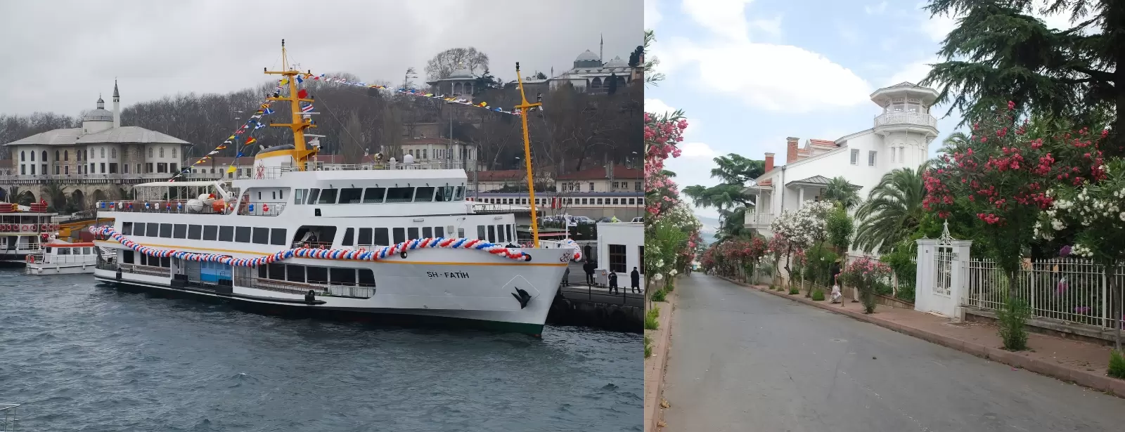 Princes' Islands Tour (2 Islands) Guide,Ticket & Lunch from Istanbul