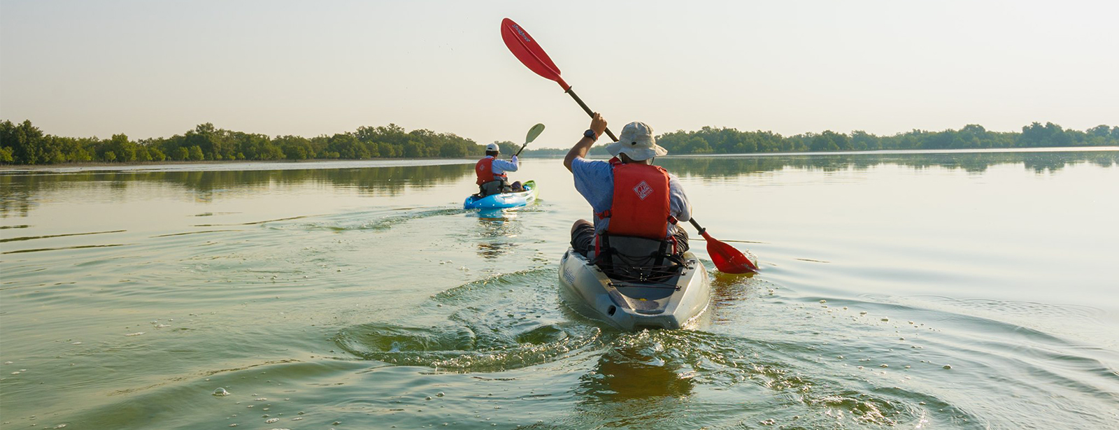 Guided Kayak Tour in the Eastern Mangrove National Park Abu Dhabi