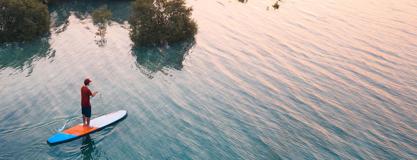 Guided SUP Tour in the Eastern Mangrove National Park Abu Dhabi