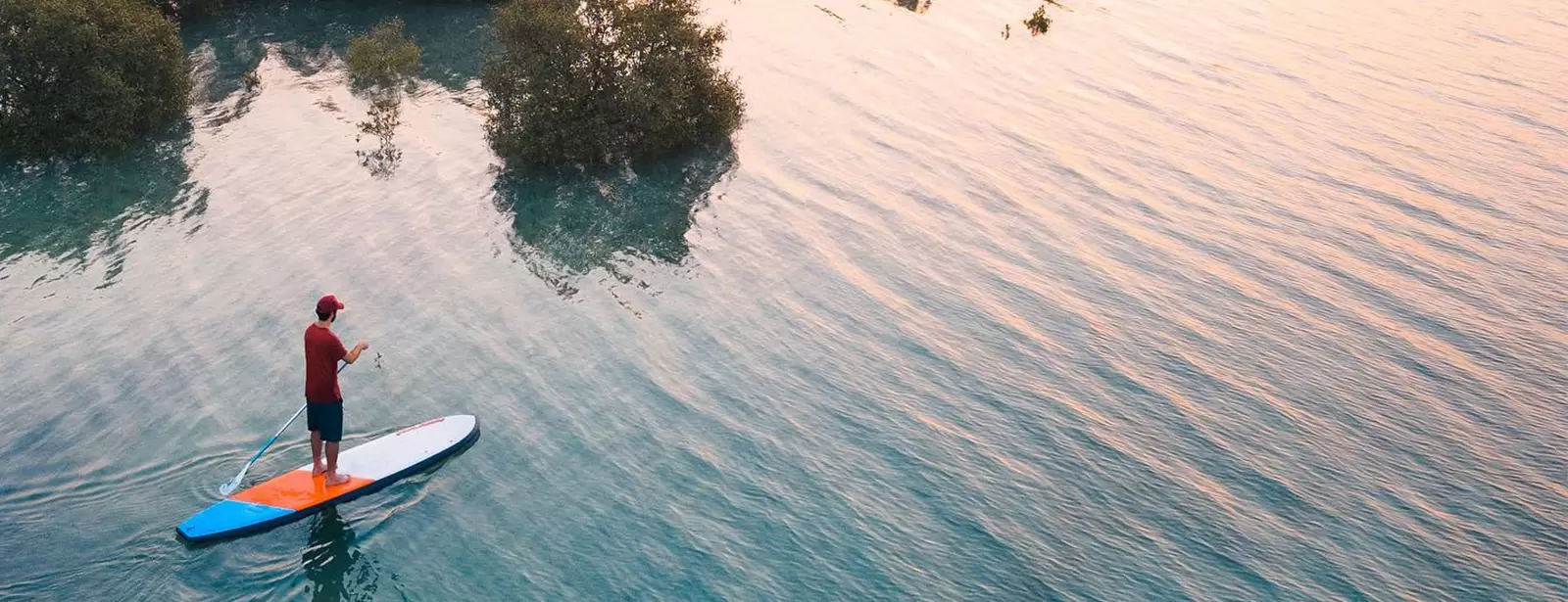 Guided SUP Tour in the Eastern Mangrove National Park Abu Dhabi