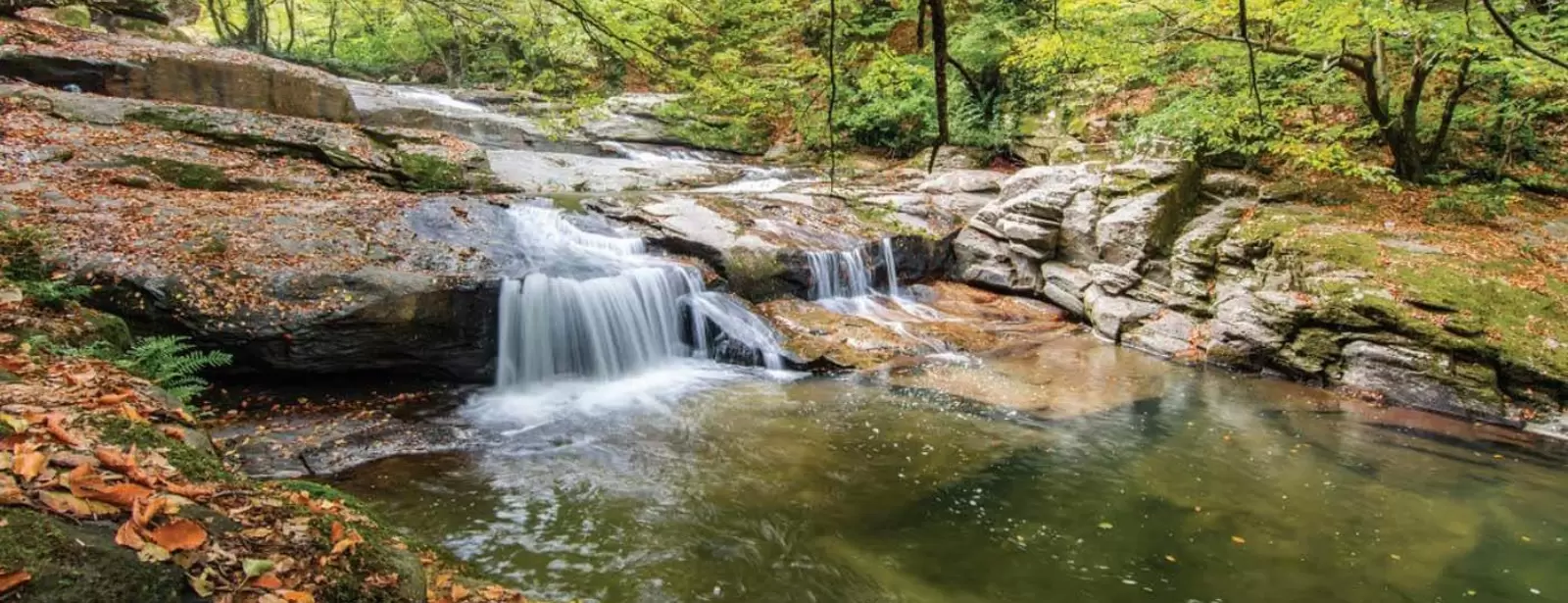 Istanbul: Day Trip to Scenic Sapanca, Masukiye and Kartepe