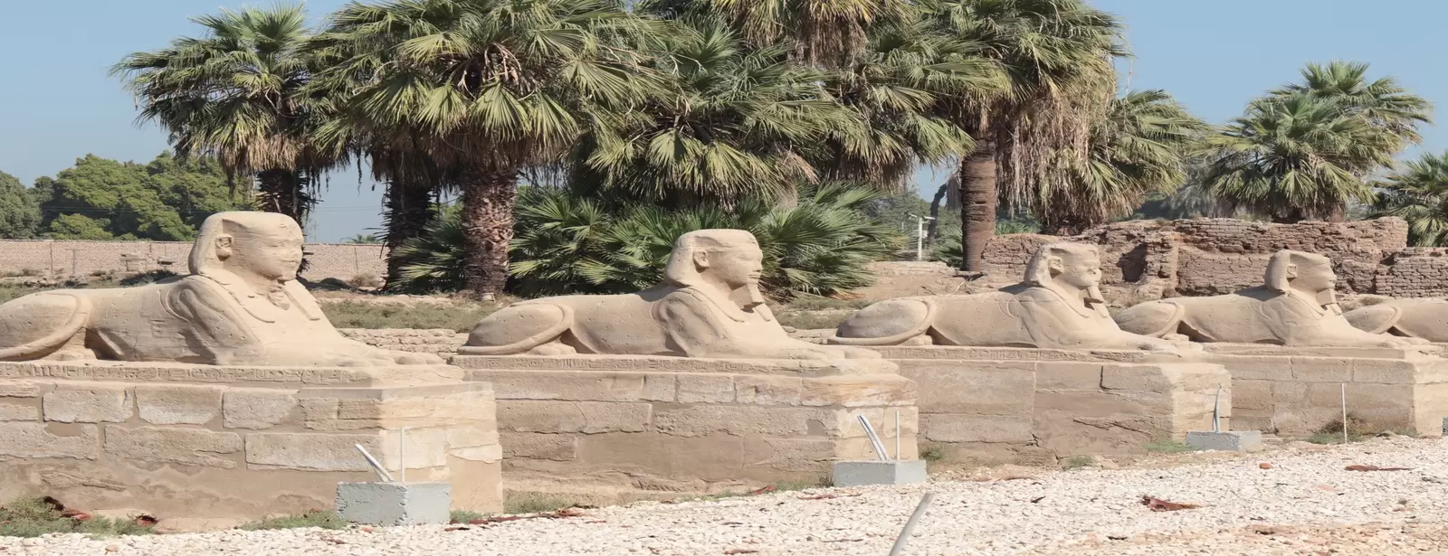 Luxor day trip from Sharm El Sheikh including flights